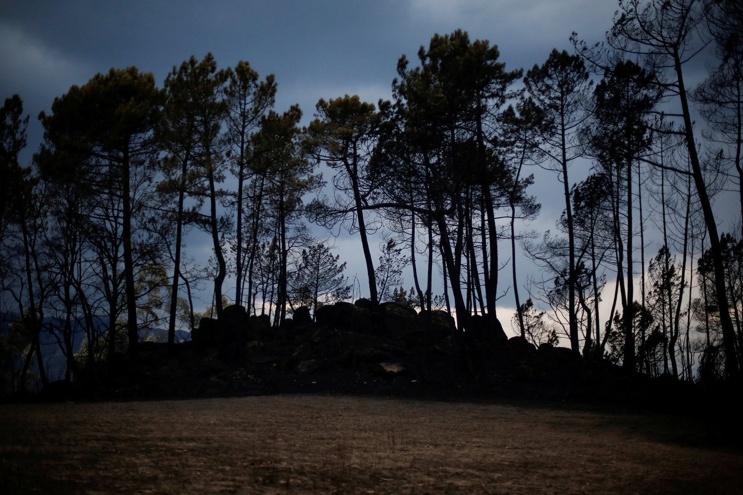 Xavier Viegas alerta para o que falta fazer na prevenção de incêndios em Portugal - Vimarsana News