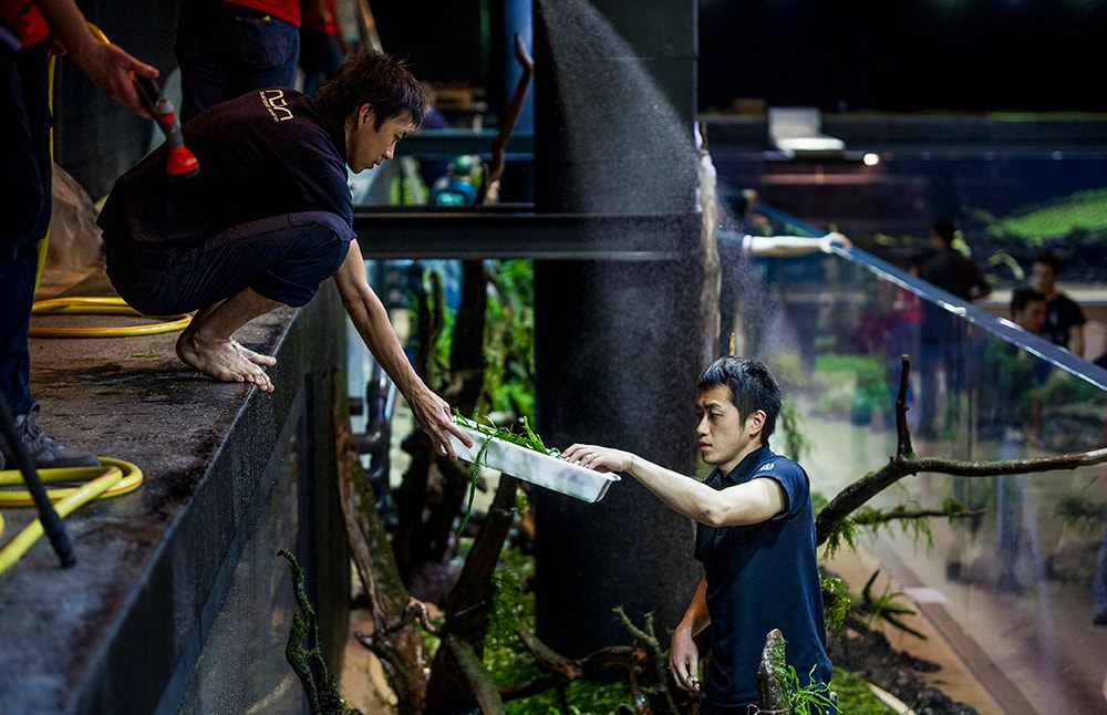  Pedro A. Pina / Ocean&aacute;rio  