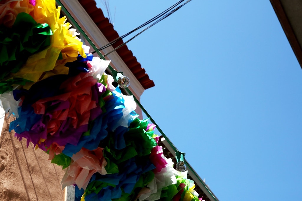  Nuno Patr&iacute;cio - RTP 