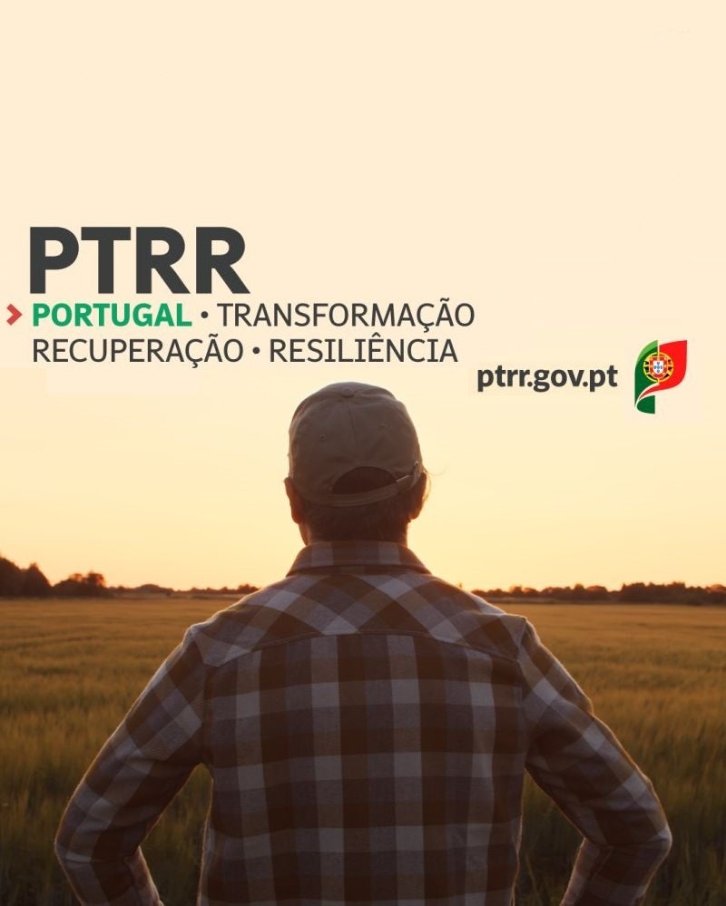 PTRR at risk of being unfeasible due to the short execution timeframe