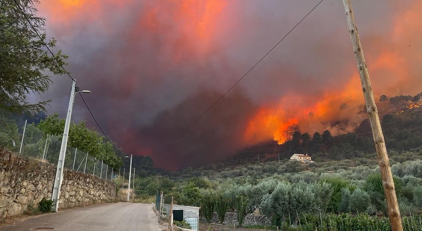 O incêndio progride devido "ao vento muito forte", declarou Sofia Prata à RTP3
