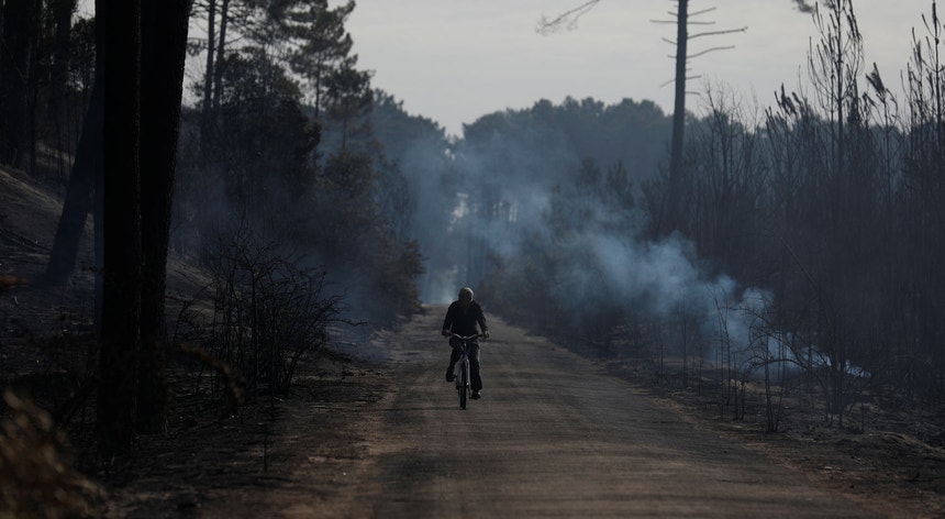 Os incêndios de junho, em Pedrógão Grande, e de outubro, em vários concelhos da região centro, provocaram mais de uma centena de mortes e centenas de feridos
