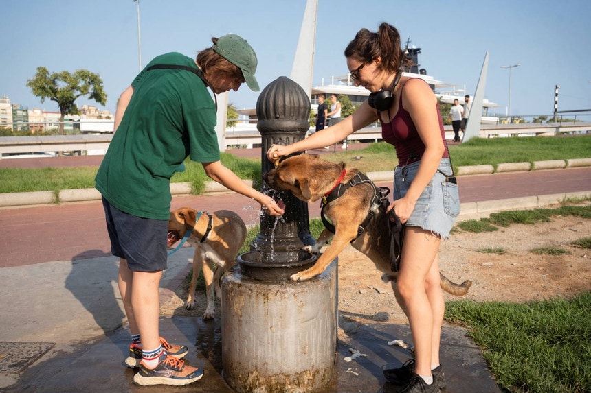 Pelo menos 35 mil mortes em excesso registadas nas ondas de calor na Europa