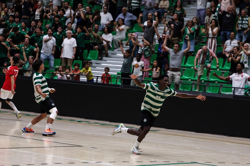 Imagem de Sporting sorteado em grupo mais acessível do que o FC Porto na `Champions` de andebol