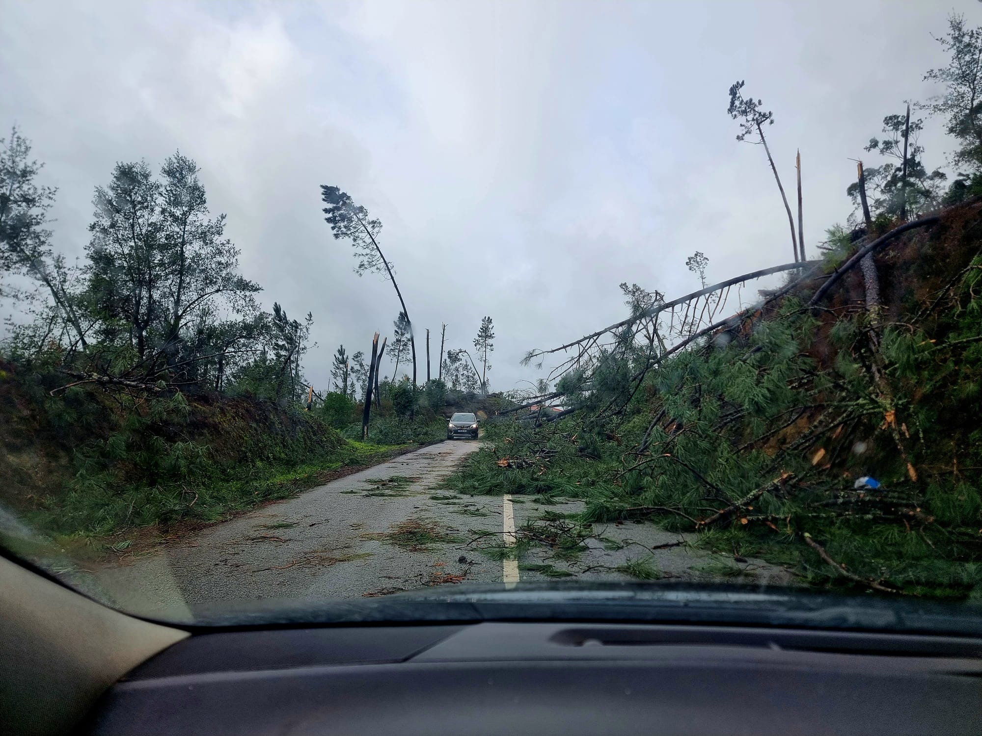 Young people create solidarity warehouse in Marinha Grande to support victims of severe weather