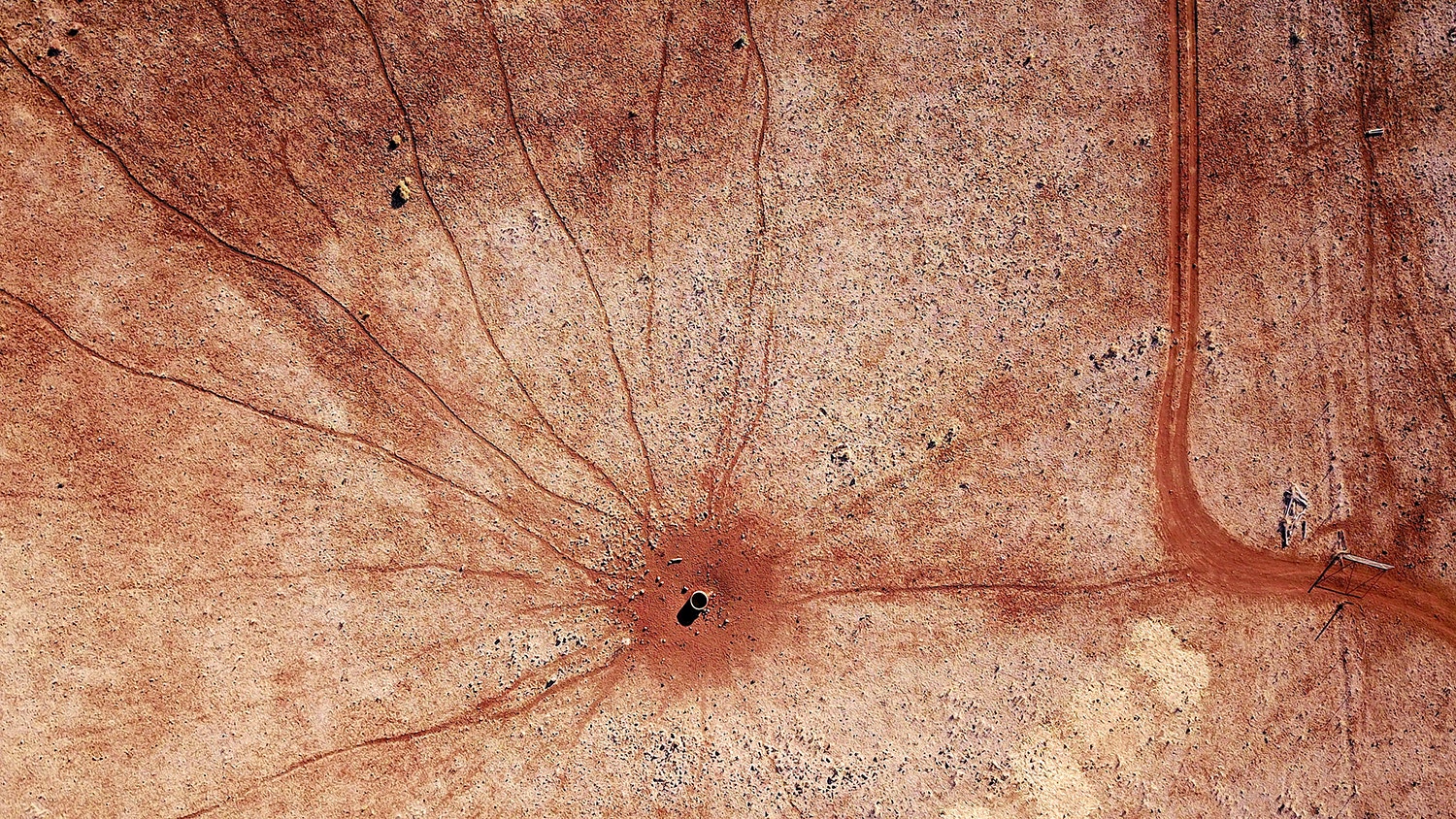  David Gray - Reuters 