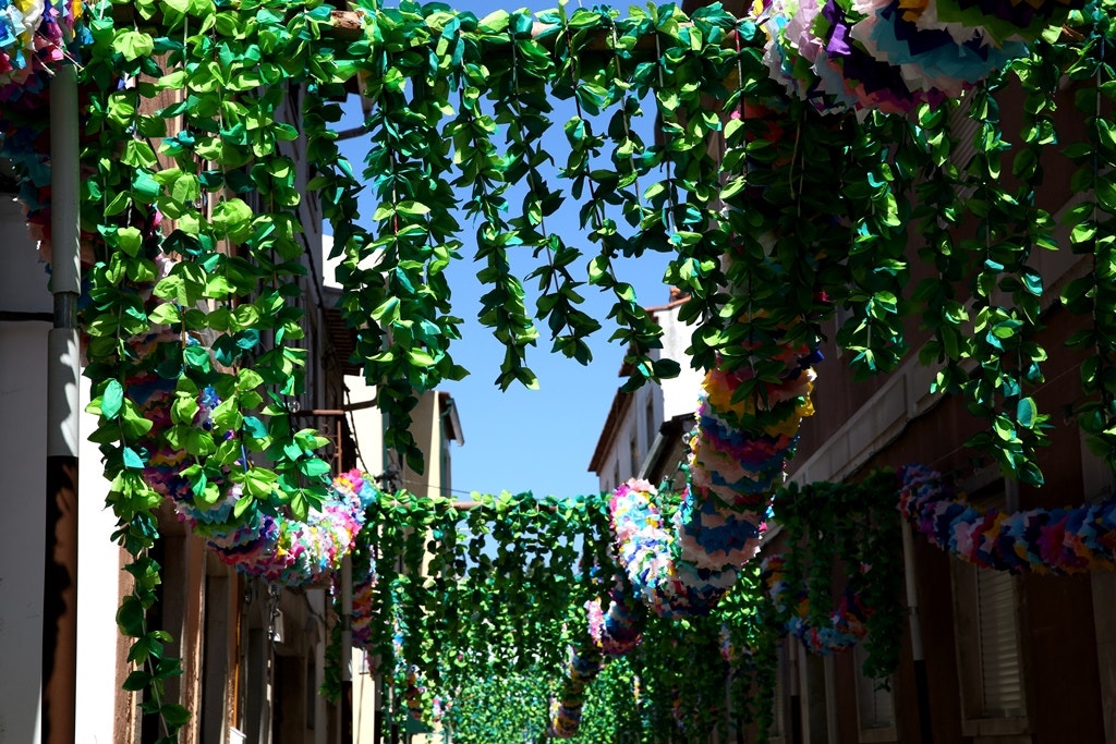  Nuno Patr&iacute;cio - RTP 