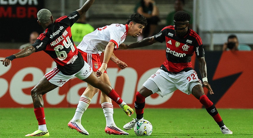Imagem de Benfica perde primeiro jogo da pré-época