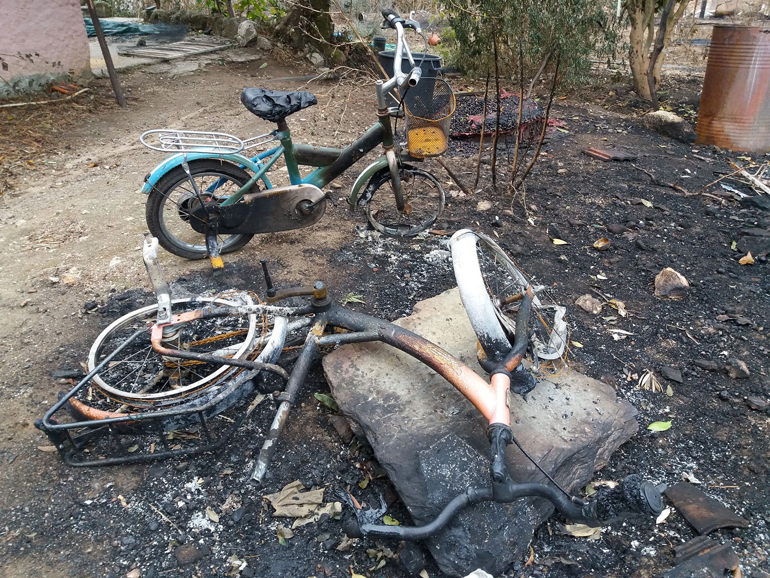  Foto: Nuno Tavares - RTP 