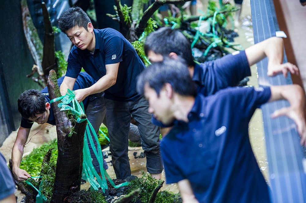  Pedro A. Pina / Ocean&aacute;rio  