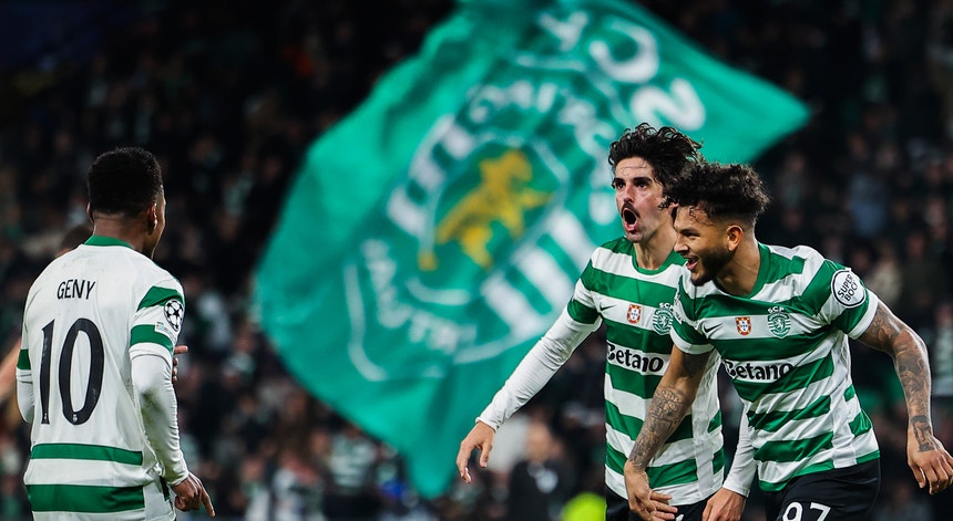 Imagem de Sporting - Estrela da Amadora