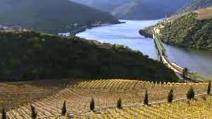 Alto Douro Vinhateiro Património Mundial da UNESCO assinala 25 anos e anuncia livro