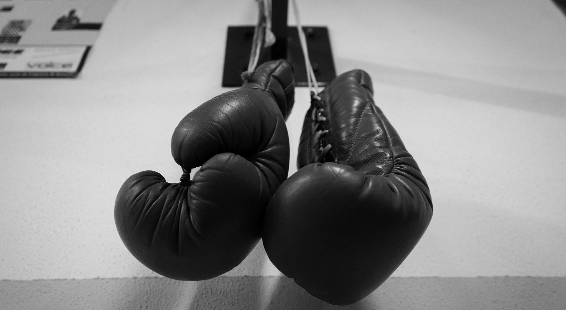  Foto: Rodrigo Lobo - RTP 