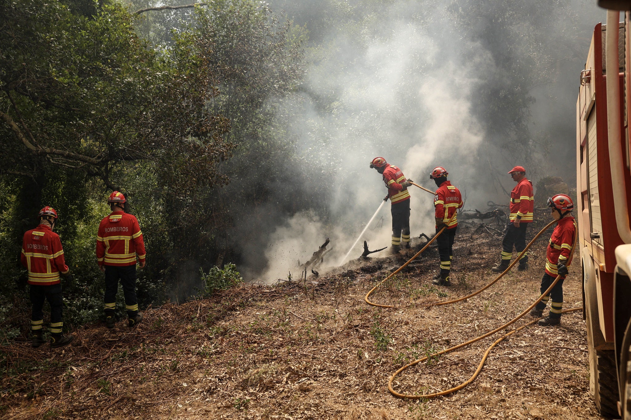 Dominado fogo numa área de mato em Odemira