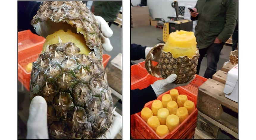 Imagens dos ananases com cocaína
