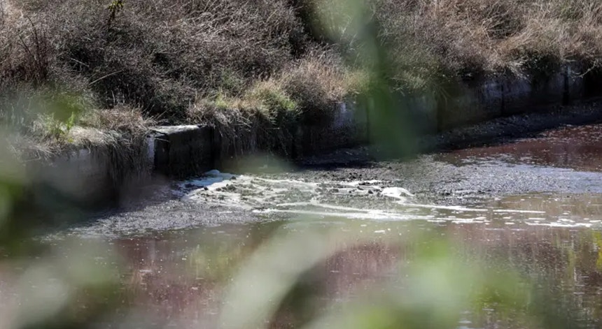 Imagem de Lesados reclamam 256 mil euros por danos após avaria que provocou poluição no rio Lis