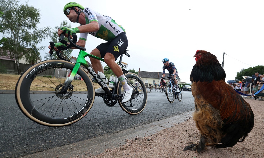 Imagem ilustrativa: Ninguém perde a Tour de France