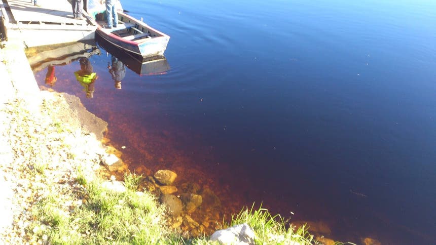 Arlindo Consolado Marques