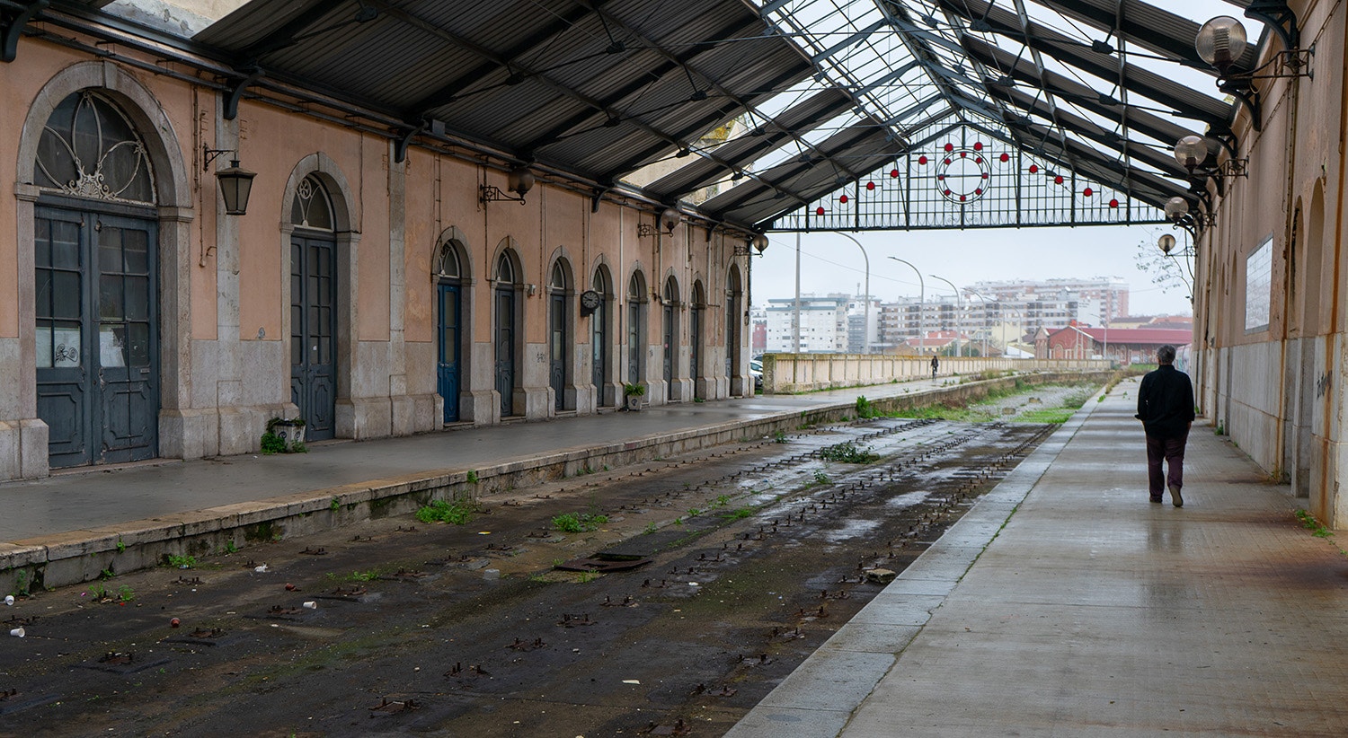  Pedro Matos | Rodrigo Lobo - RTP 