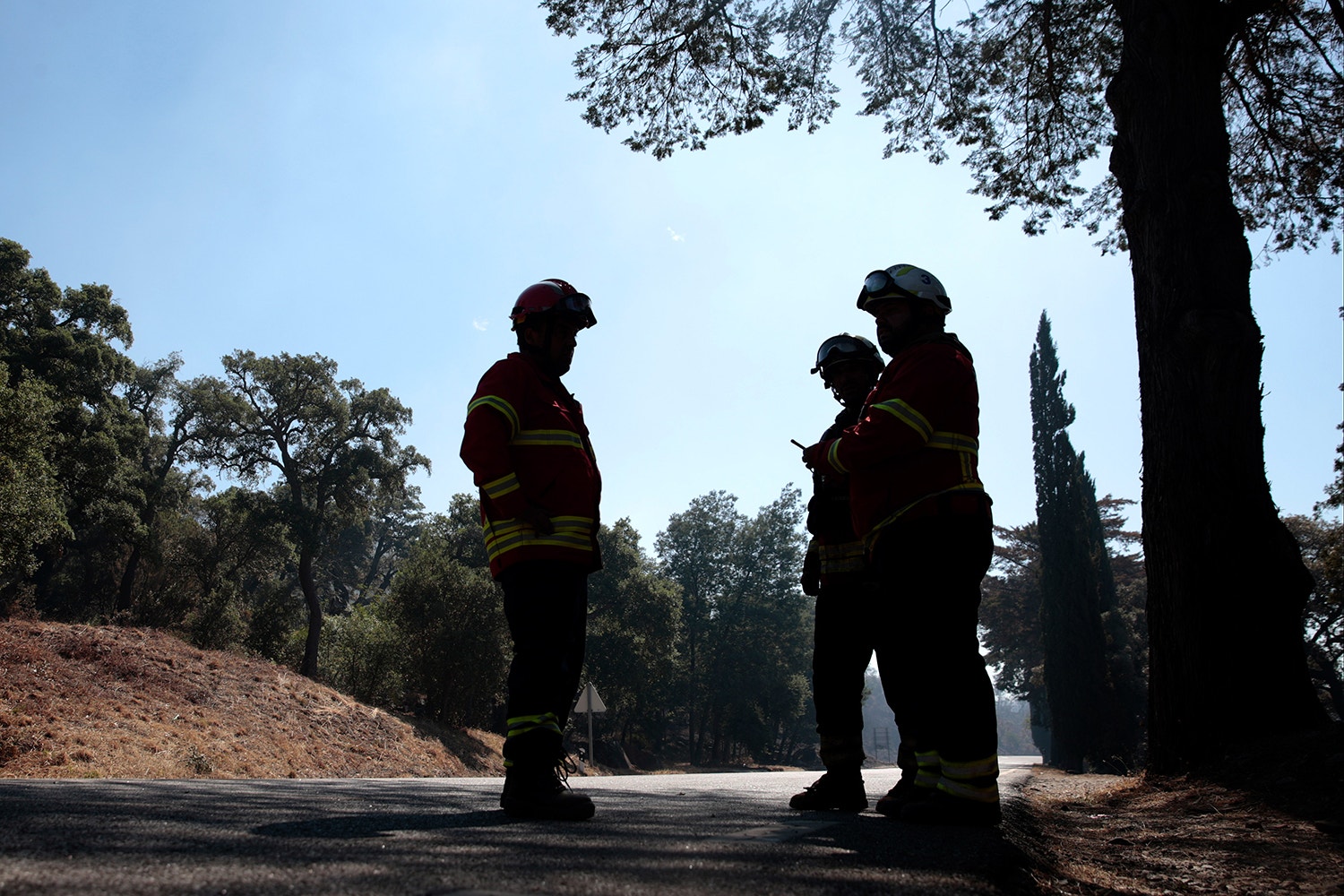  Portela do Vento, Monchique /Filipe Farinha - Lusa 