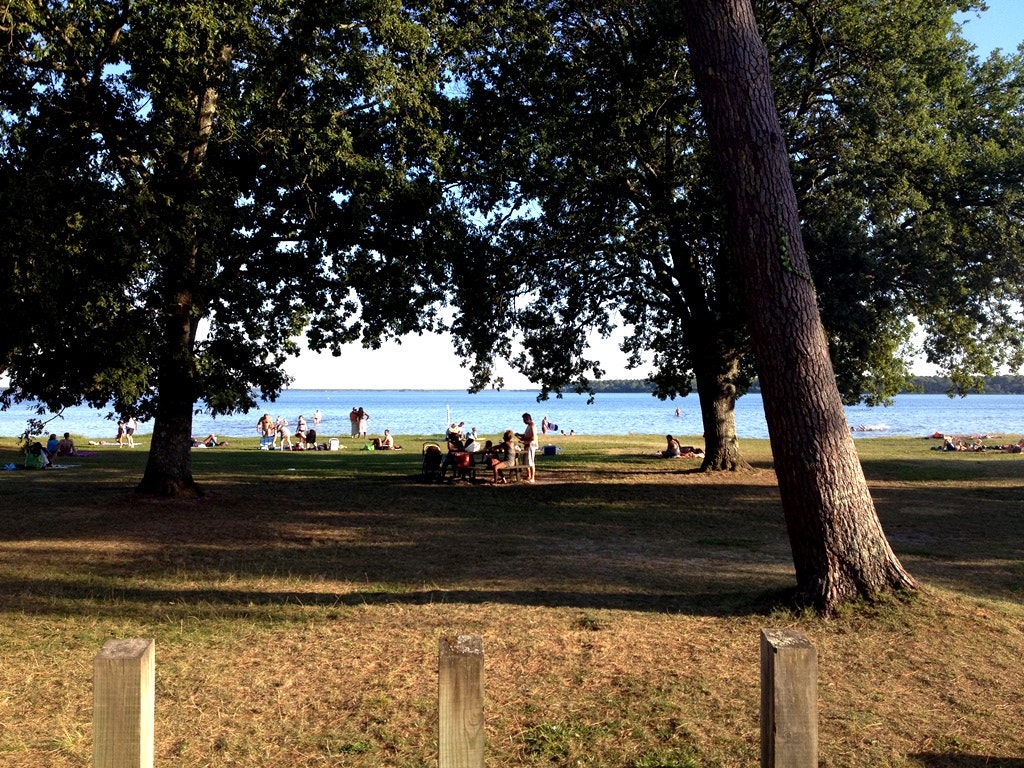  Enviada por Sofia Henriques  