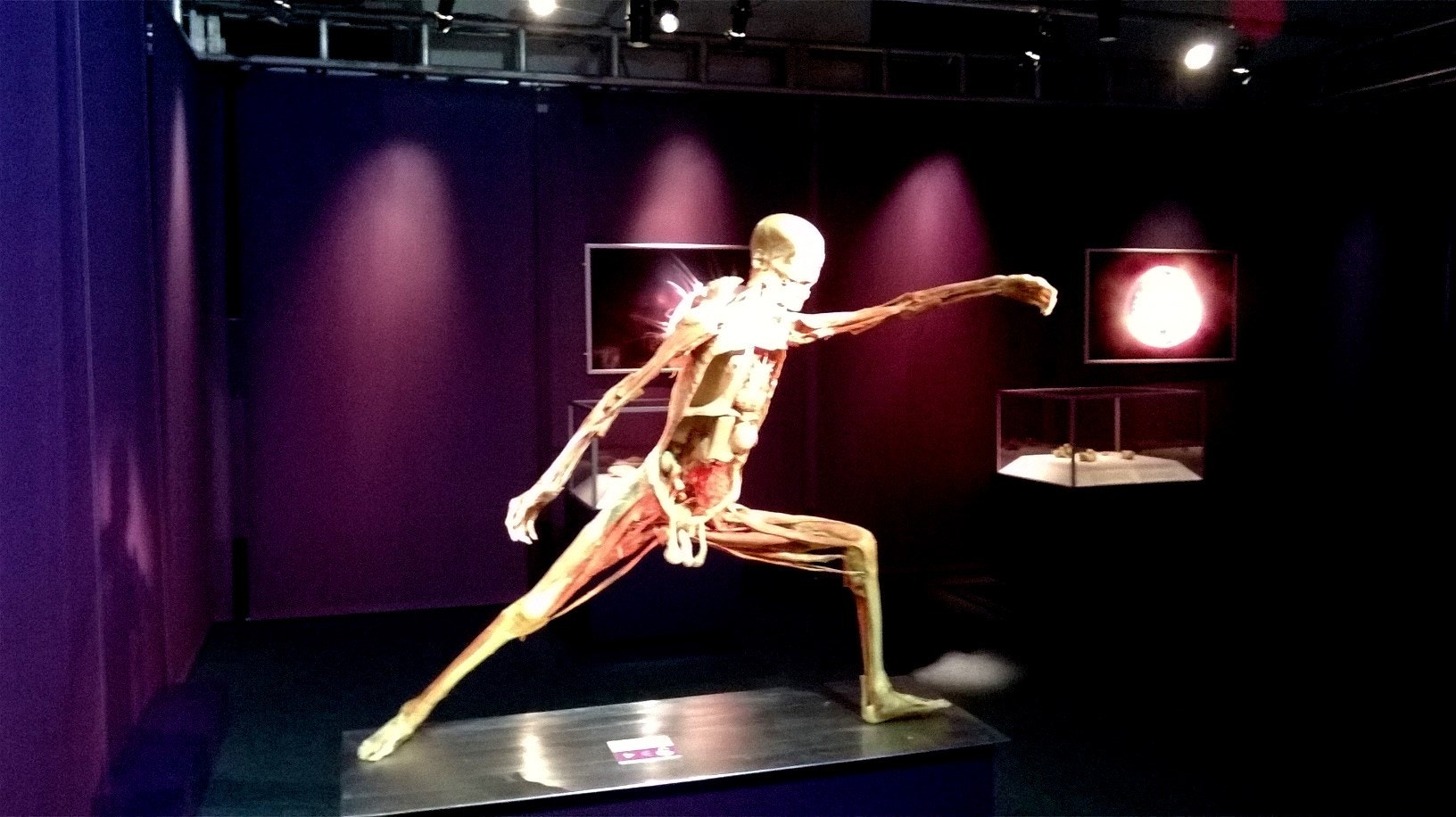  Cr&eacute;ditos: Alexandra Sofia Costa  - Antena 1 - RTP  