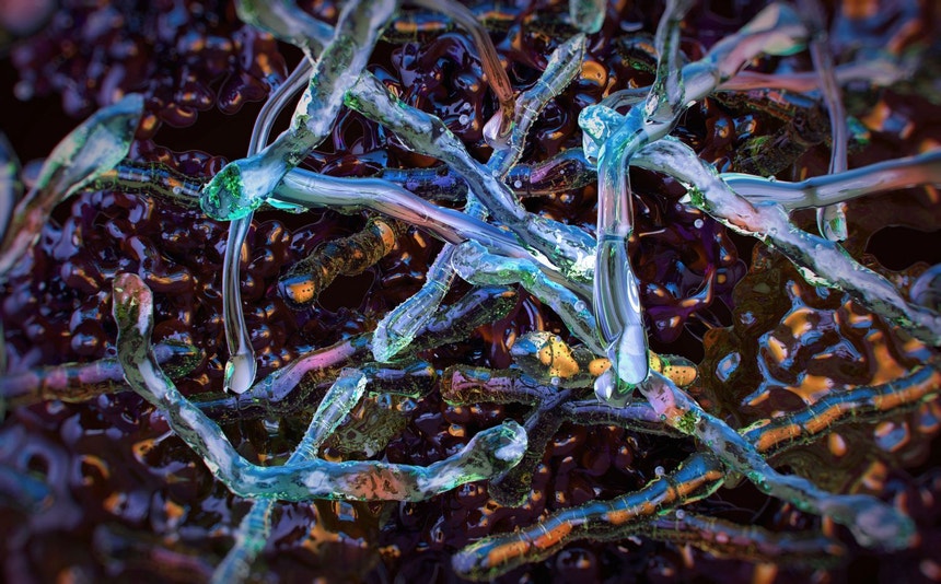 Descoberto novo método de combate a bactérias resistentes a antibióticos