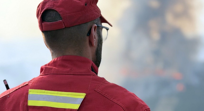 Imagem de Arderam mais de 900 hectares de terreno em Santo Tirso