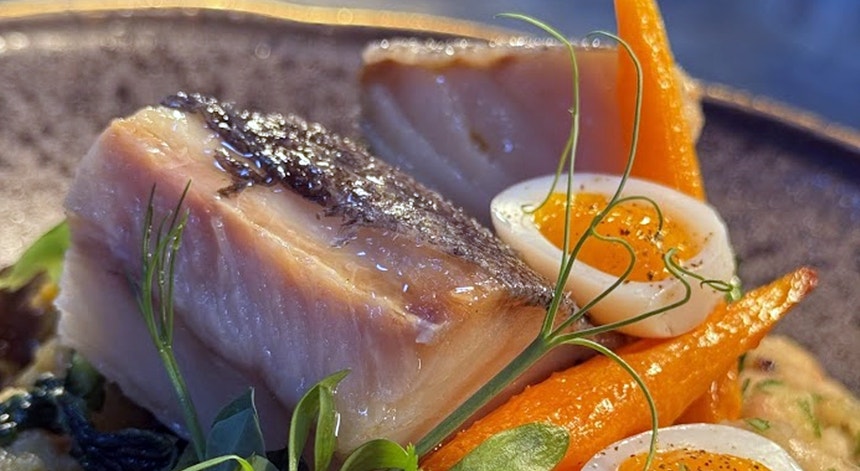 Imagem ilustrativa: Exportações portuguesas de bacalhau enfrentam fisco brasileiro