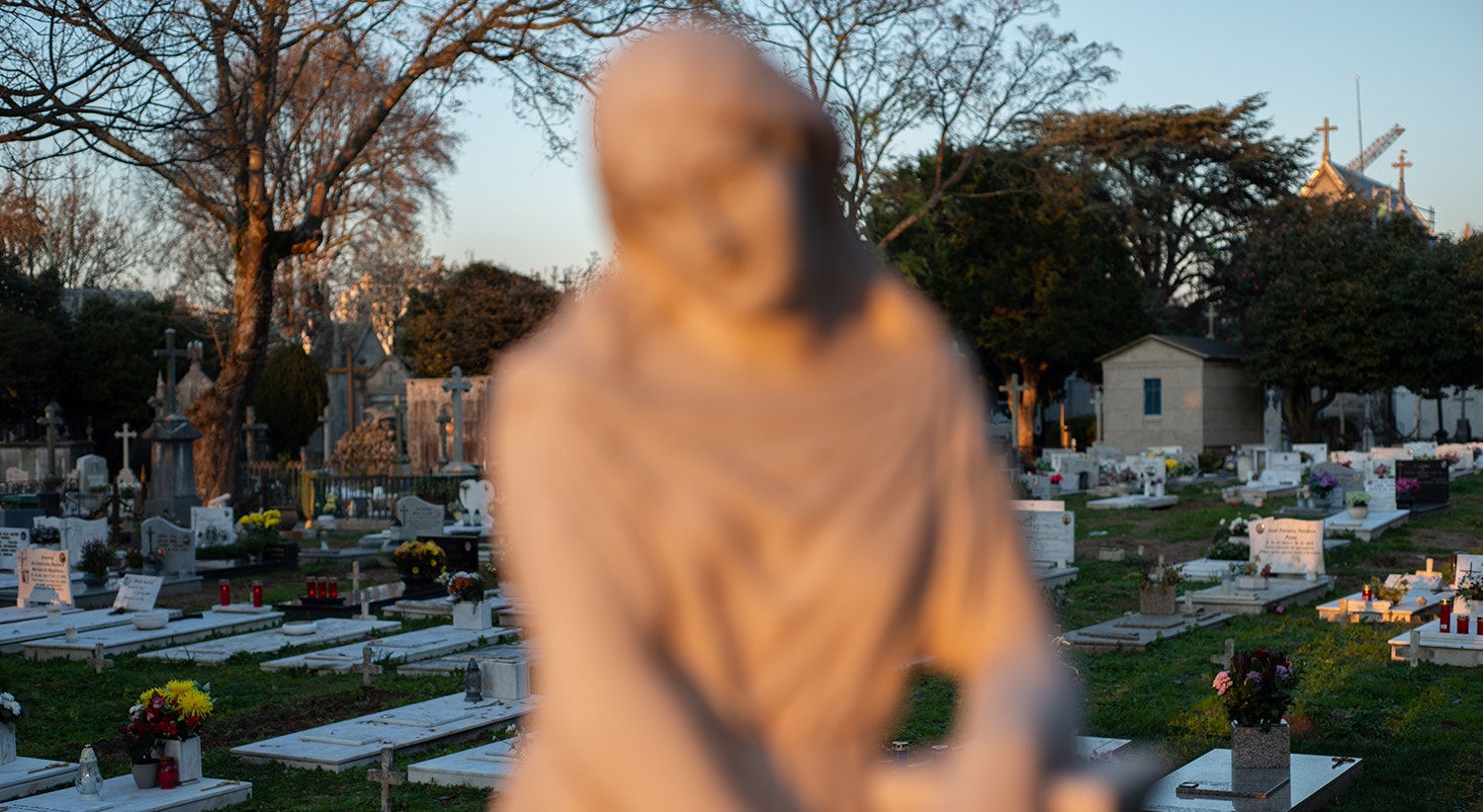  Foto: David Ara&uacute;jo - RTP  