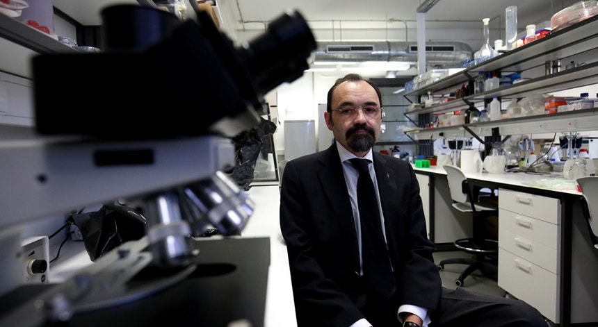José Rueff, coordenador do Centro de Investigação em Genética Molecular Humana e Diretor do Departamento de Genética da Escola de Ciências Médicas da Nova
