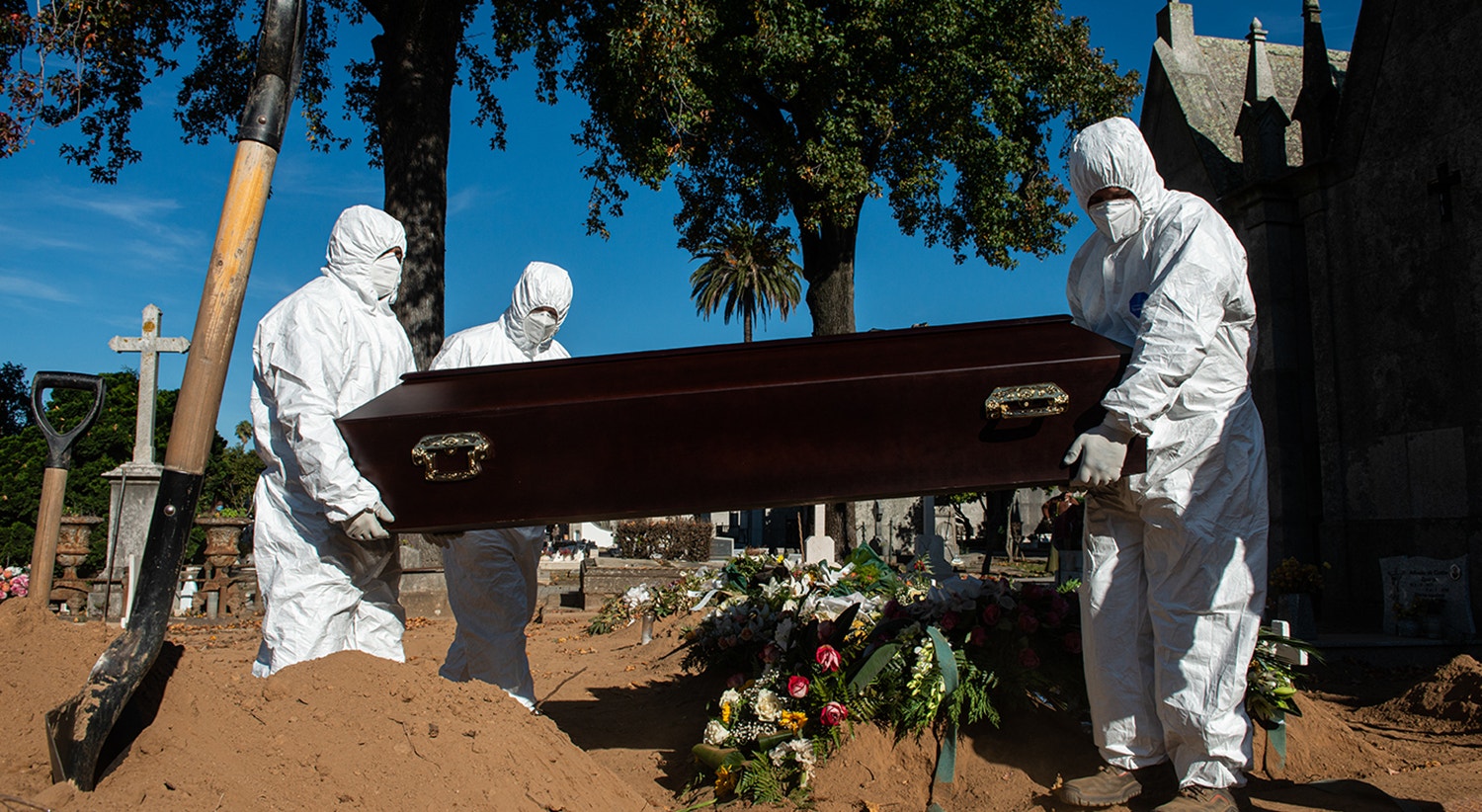  Foto: David Ara&uacute;jo - RTP  