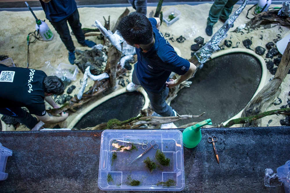  Pedro A. Pina / Ocean&aacute;rio  