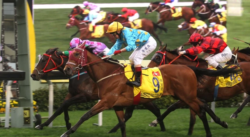 Macau recupera terreno do hipódromo após 40 anos de corridas de cavalos