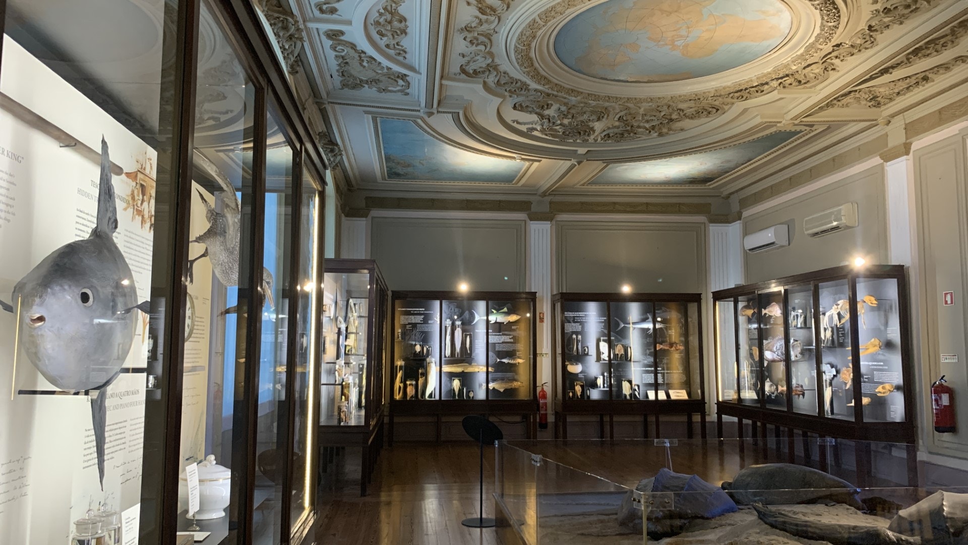  Foto: Arlinda Brand&atilde;o - Antena 1 