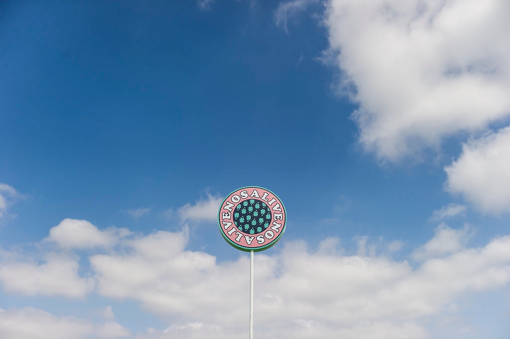  Foto: Pedro A. Pina - RTP 