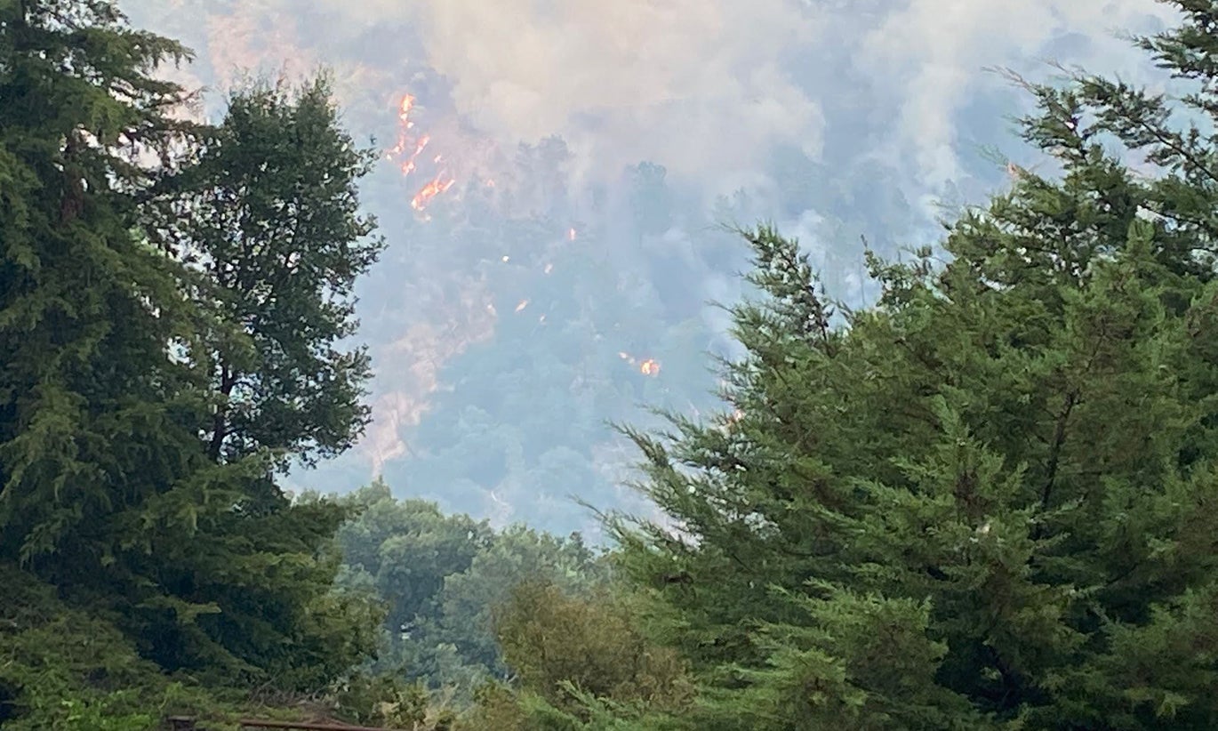 Principal desafio é agregar propriedades florestais diz representante da Florestgal