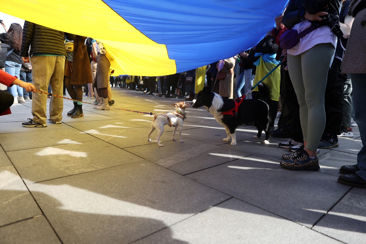 Marcha em Belgrado | Zorana Jevtic - Reuters  