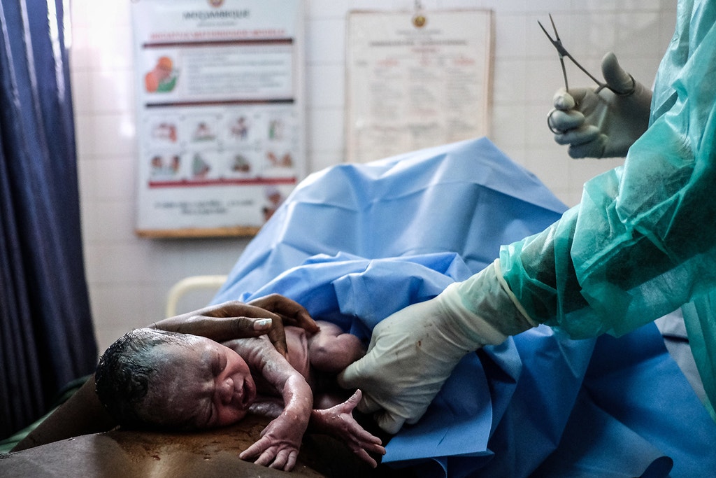 Imagem ilustrativa: Renascer