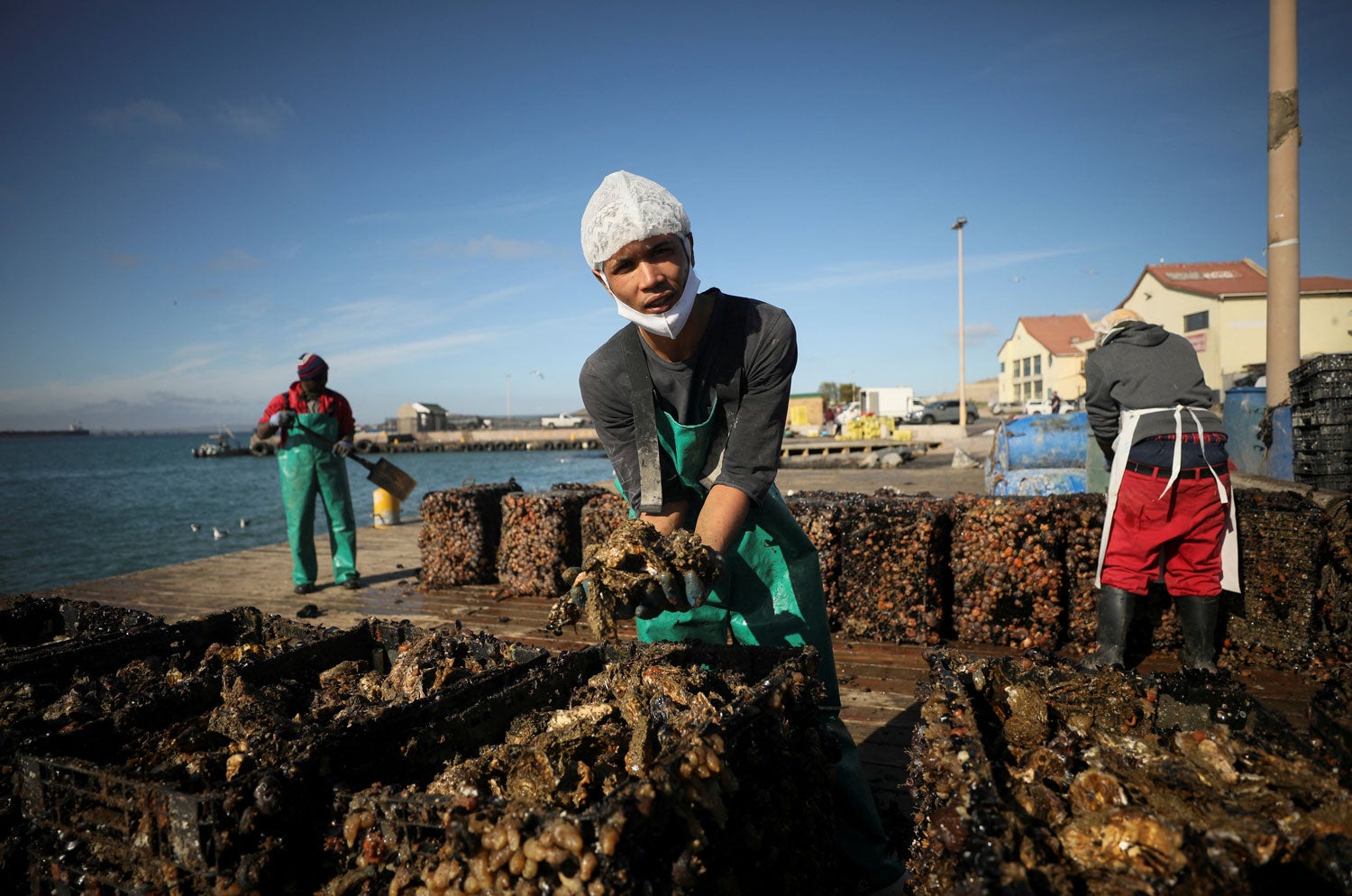 Cria&ccedil;&atilde;o de mexilh&otilde;es em Saldanha Bay, Cidade do Cabo, &Aacute;frica do Sul Foto: Reuters