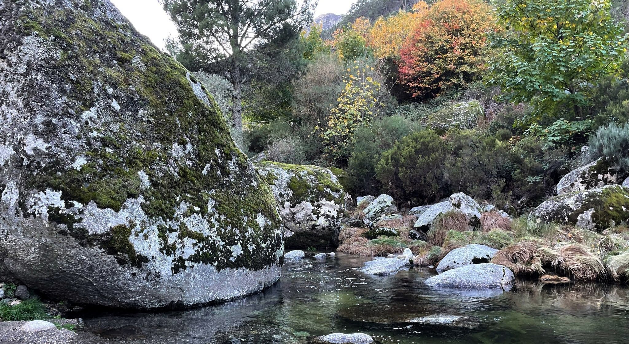 Serra da Estrela passa a integrar Reserva da Biosfera da UNESCO