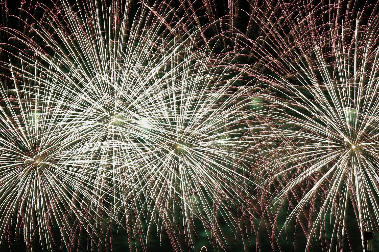  Ant&oacute;nio Cotrim 