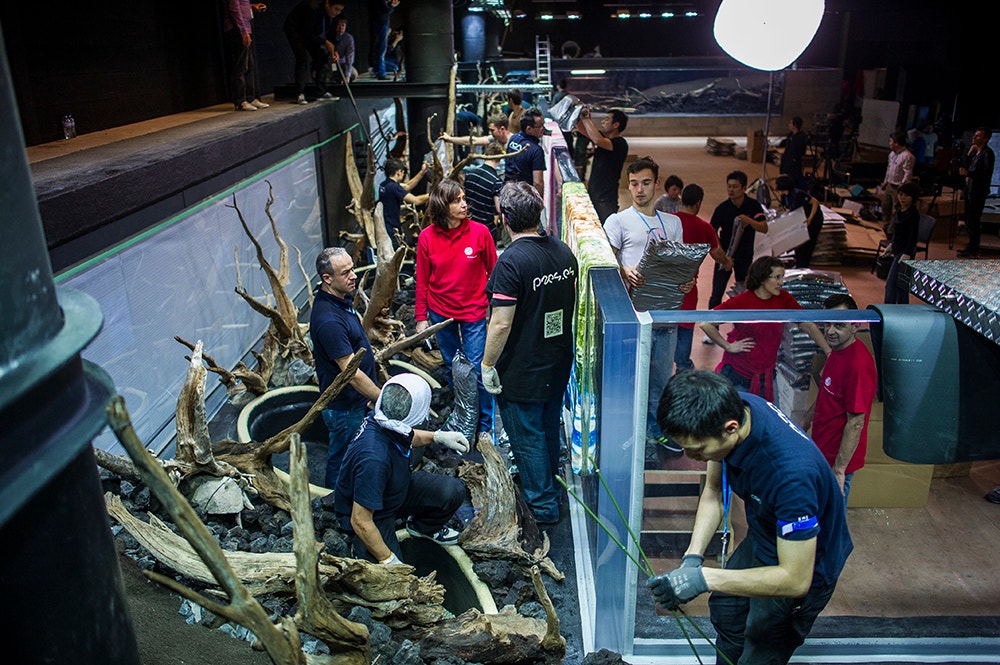  Pedro A. Pina / Ocean&aacute;rio  