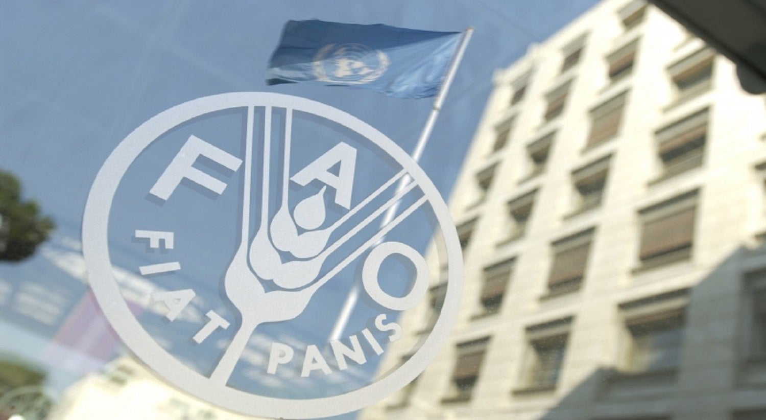 FAO estima perda de 13% do gado da província de Gaza face às cheias em Moçambique