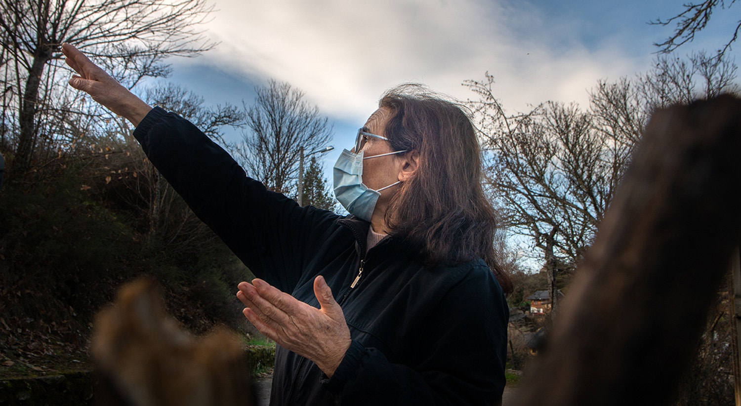  Foto: David Ara&uacute;jo - RTP 