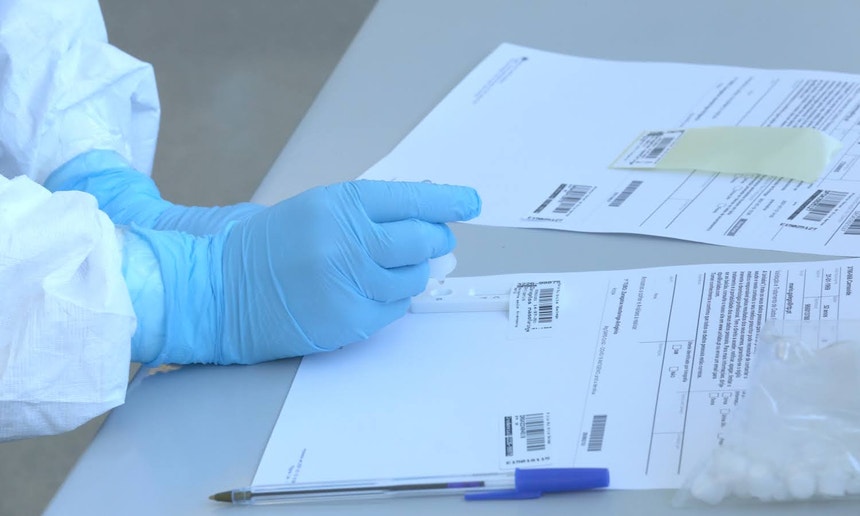 Investigadores portugueses testam forma de bloquear o vírus da gripe A antes da infeção