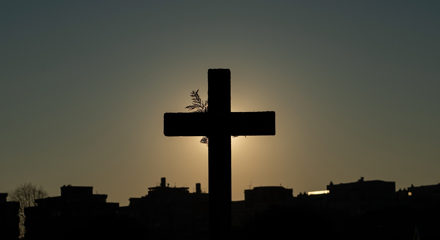  Foto: David Ara&uacute;jo - RTP  