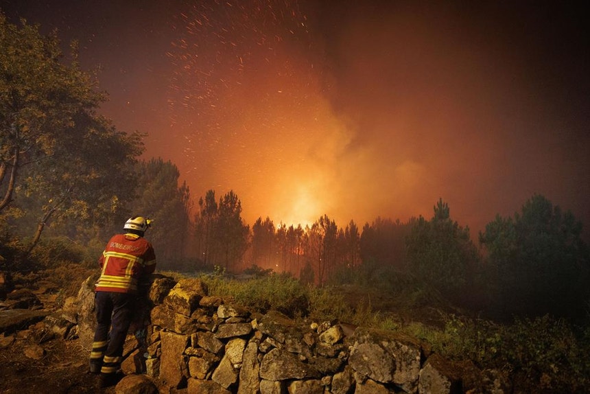 Imagem relacionada com a notícia: O fogo não dá tréguas na zona de Torres Novas
