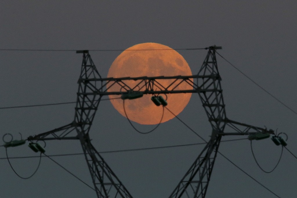  Le Pallet - Fran&ccedil;a 