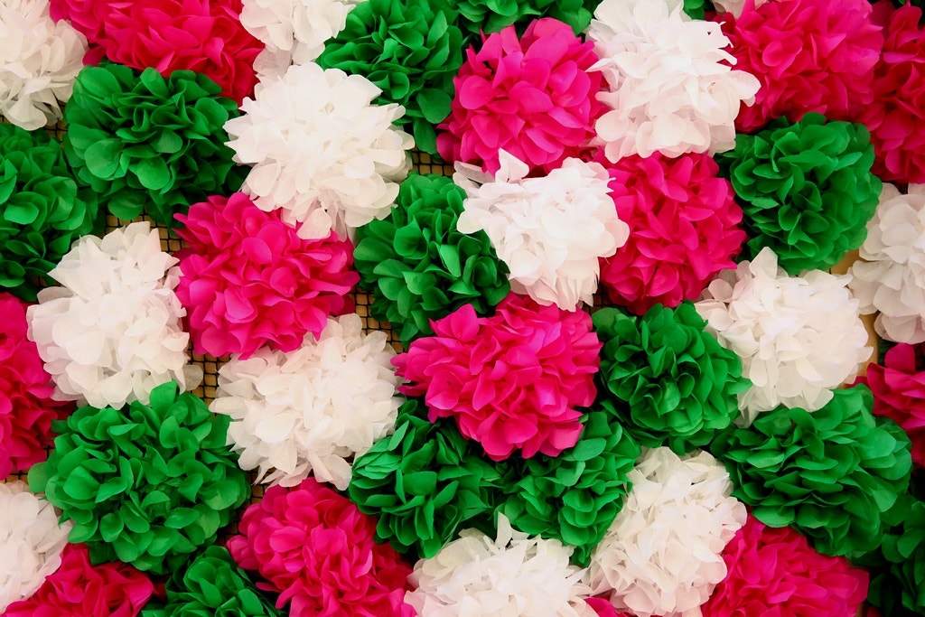  Nuno Patr&iacute;cio - RTP 